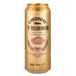 千岛湖啤酒乐享时光 330ml*24听+11°P金版500ml*12听整箱组合装