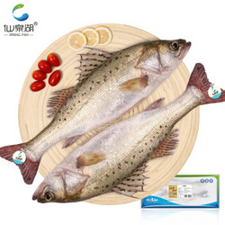 仙泉湖 国产速冻白蕉海鲈鱼(2条装)1kg 珠海地标生鲜 轻食海鲜水产