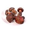 菌香园  红牛肝菌250g*1盒 云南新鲜野生菌菇
