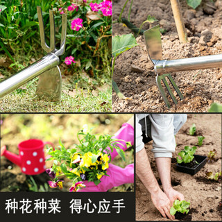 佳佰 不锈钢两用齿耙锄头洋镐 家用种植养花种菜栽花移植刨土工具 园艺种植工具