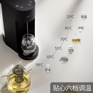 博乐宝（BluePro）饮水机即热式家用小型台式全自动智能桌面速热迷你 白色D22