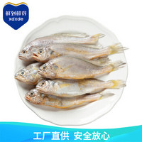 鲜到鲜得 冷冻三去小黄鱼450g(9-11条) 黄花鱼 深海鱼 生鲜 鱼类 海鲜水产