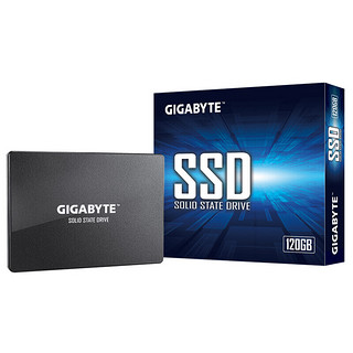 GIGABYTE 技嘉 GP-GSTFS31120GNTD SATA 固态硬盘 120GB (SATA3.0)