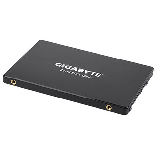 GIGABYTE 技嘉 GP-GSTFS31120GNTD SATA 固态硬盘 120GB (SATA3.0)