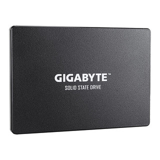 GIGABYTE 技嘉 GP-GSTFS31120GNTD SATA 固态硬盘 120GB (SATA3.0)