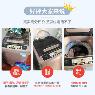 WEILI 威力 10kg公斤家用大容量波轮洗衣机节能智能全自动XQB100-10018A