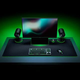 RAZER 雷蛇 重装甲虫V3 游戏鼠标垫 940*410*4mm XXL