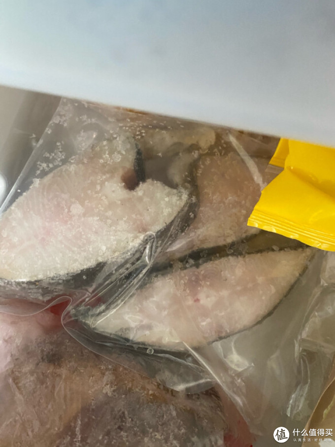 南极直达鱼类