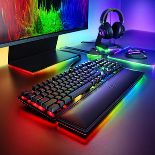 RAZER 雷蛇 猎魂光蛛 精英版 108键 有线机械键盘