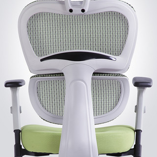 恒林灰框绿网新款电脑椅护腰人体工学椅老板椅办公椅可躺椅子1388