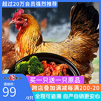 买一送一原品 首农百年栗园 散养柴鸡土鸡700g 散养柴鸡