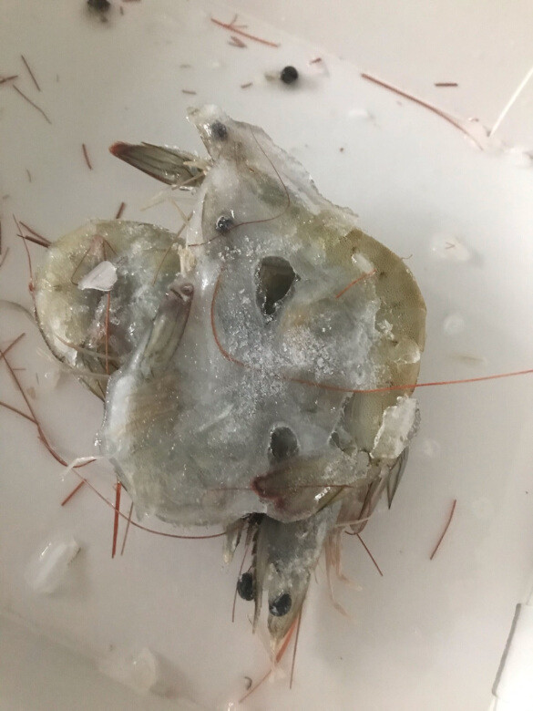 要说起来，这数量和这金属应该下的个儿挺大