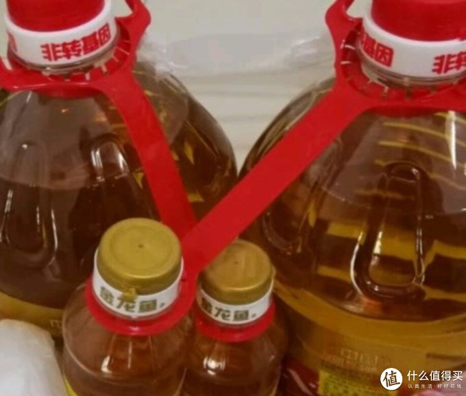 金龙鱼其他食用油