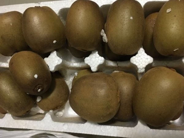 一盒30个，包装很好，果子很大，和苹果放