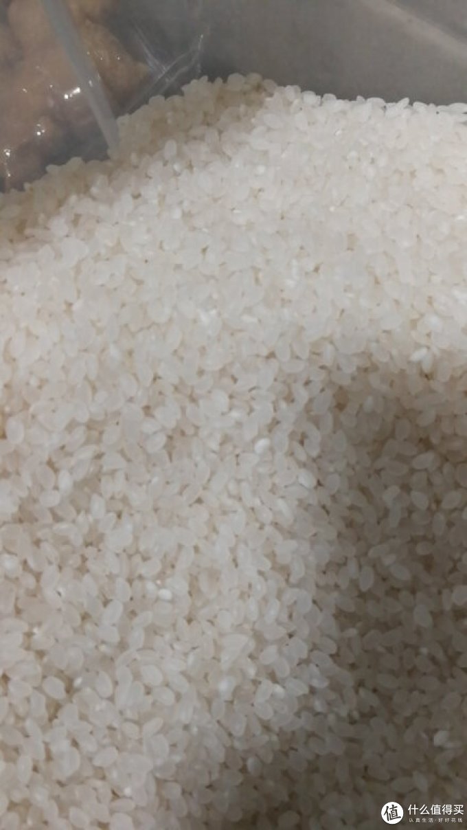 御香龙品大米