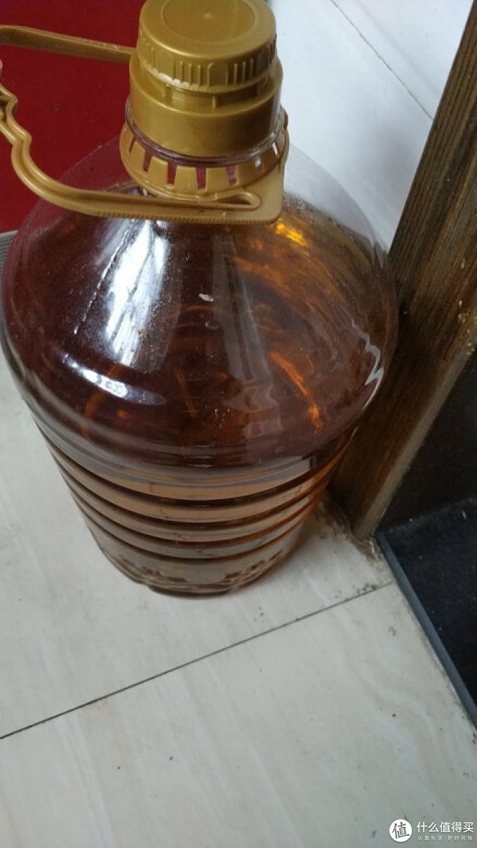 鲤鱼其他食用油