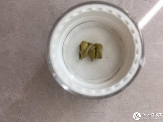 蜂之德功能营养