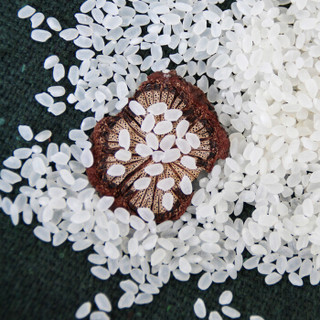 森王晶珍 苏北米 清香稻 优选粳米 珍珠米 8kg