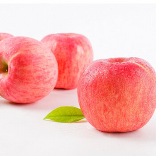 【水果帮】陕西洛川红富士苹果 冰糖心脆甜高山丑苹果 新鲜水果 京东生鲜 3斤装