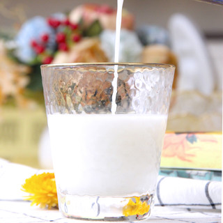 金河 奶啤 300ml*6罐