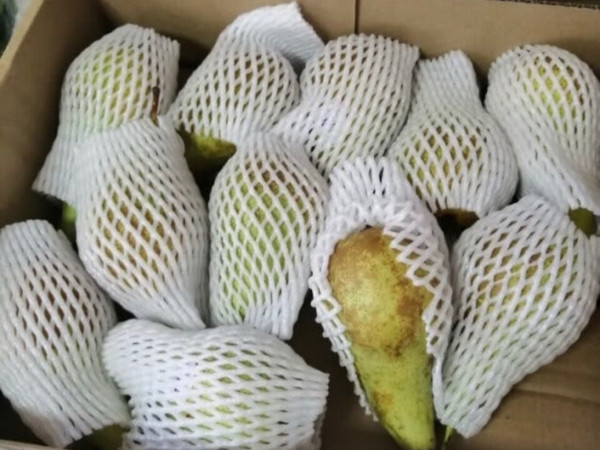 质量不错放在冰箱里吃味道更好，不容易坏