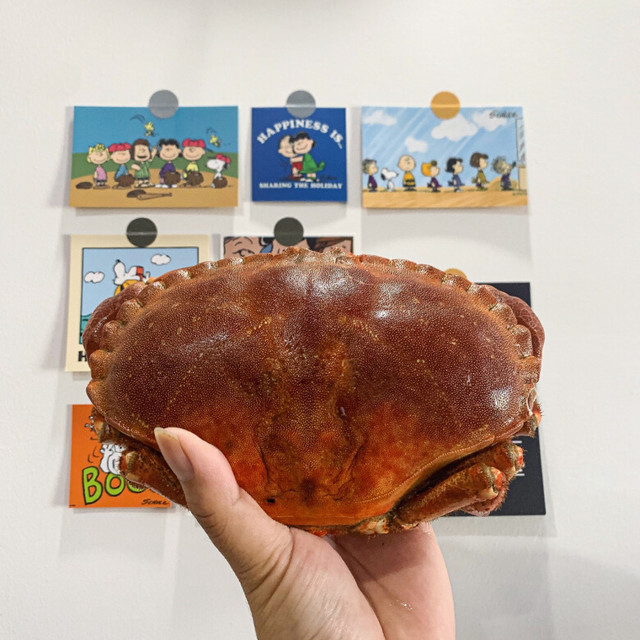 很大一只，拿来做重口味的菜不错，肉质偏柴