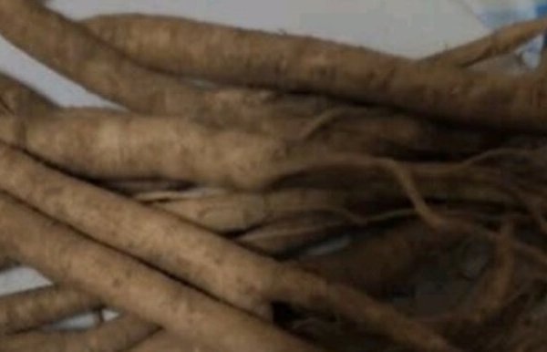 小人参，挺不错的，比较新鲜。