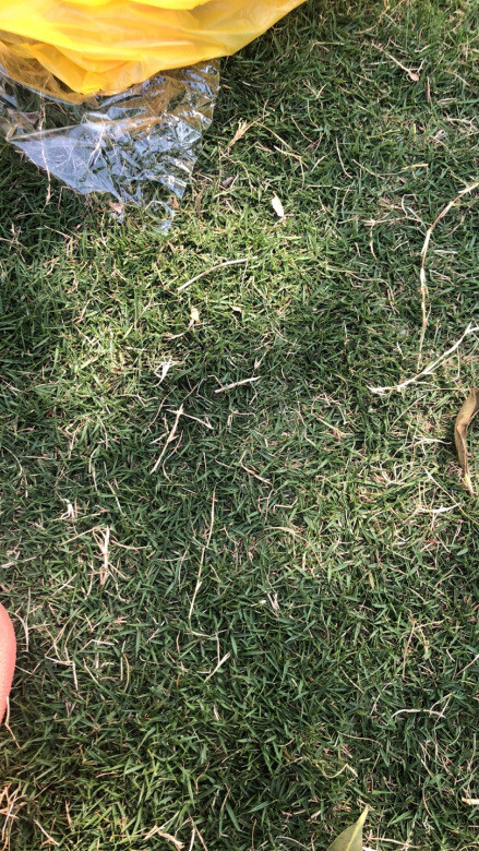 
挺好，简单基础款式。
