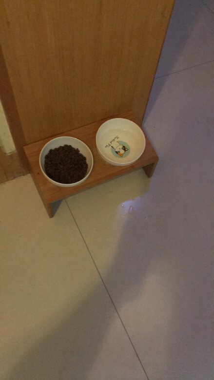 
大牌子还是放心的，猫咪爱吃
