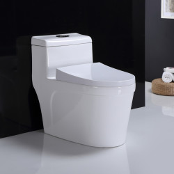 首页 家居家装 家装主材 卫浴用品 马桶 gotd/宫田马桶 文章详情430元