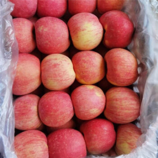 商品烟台红富士苹果水果新鲜山东苹果非哈克苏冰糖心苹果脆甜多汁整箱