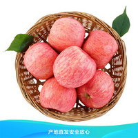 【甜果源】陕西洛川红富士苹果 冰糖心脆甜高山丑苹果 新鲜水果 京东生鲜 3斤