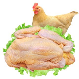 三黄鸡肉新鲜冷冻整只白条鸡现杀现发走地鸡单只800克左右生鲜冷链3只