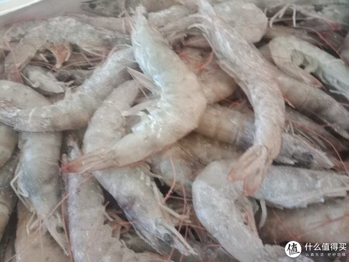 极易鲜锋虾类