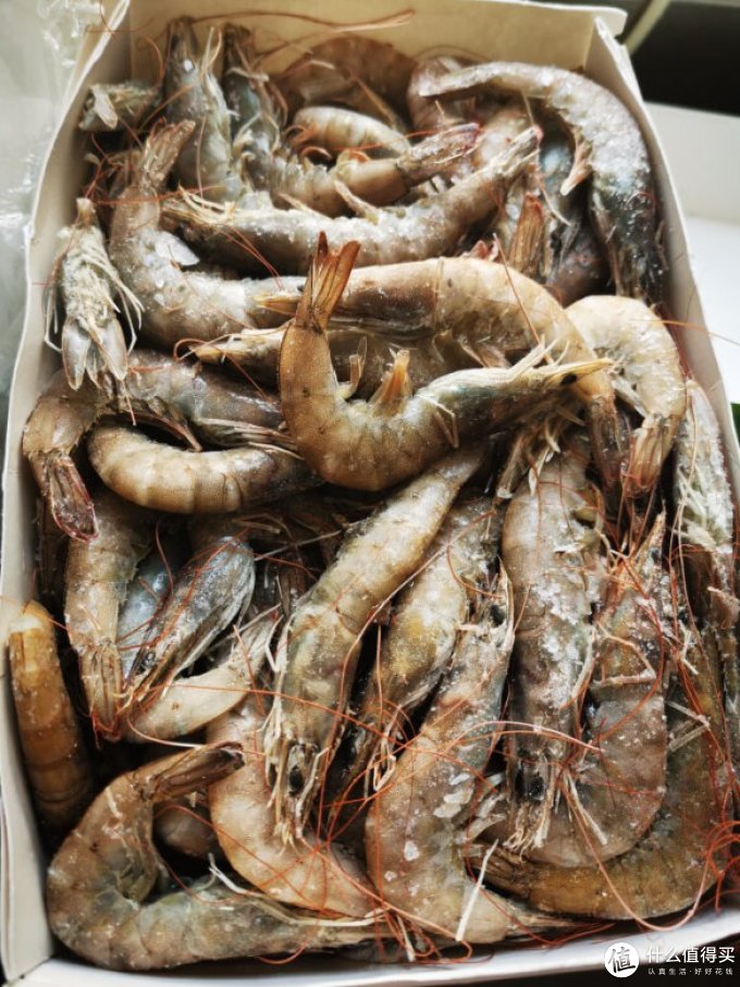 极易鲜锋虾类