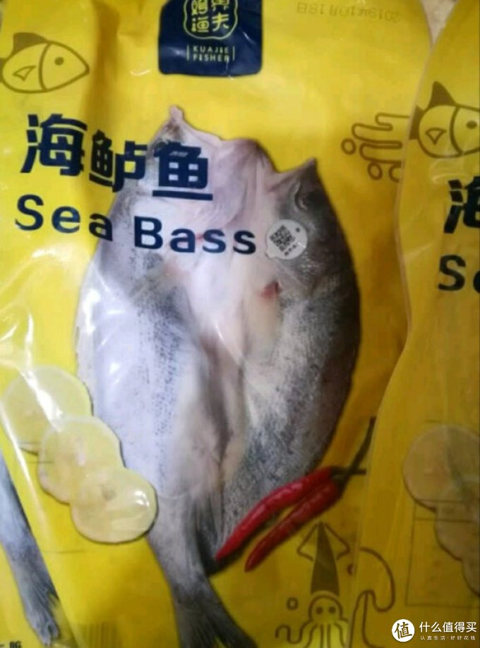 跨界渔夫鱼类