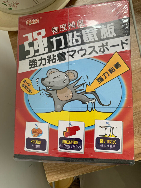 效果很神奇，两个人加上两条狗在屋里折腾半
