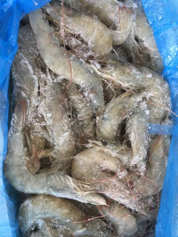 虾很新鲜，个头大，肉质鲜美饱满