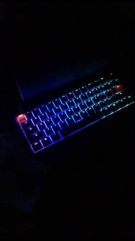 
键盘很不错。是hyperx和ducky
