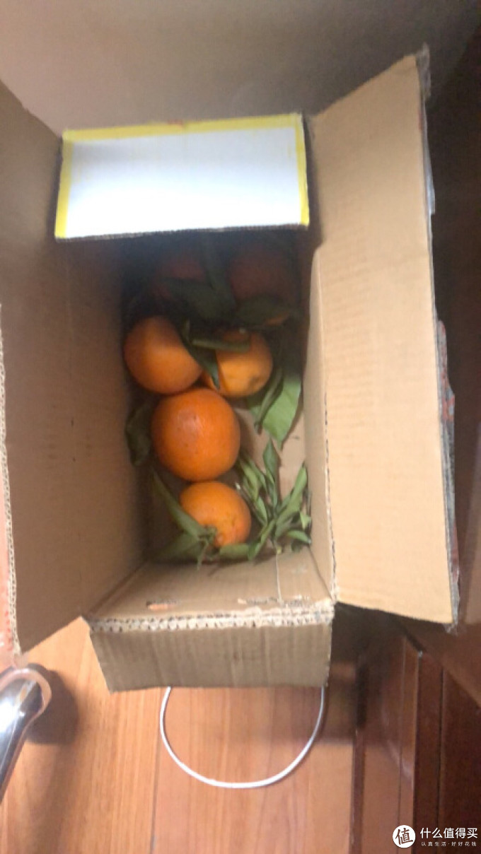 小熊鲜生橙子