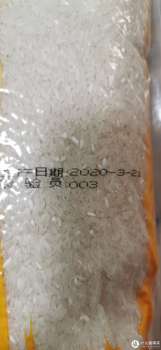 水中鲤大米