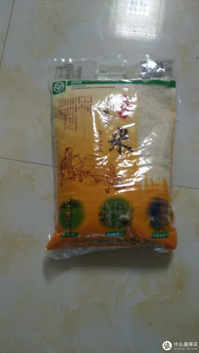 水中鲤大米
