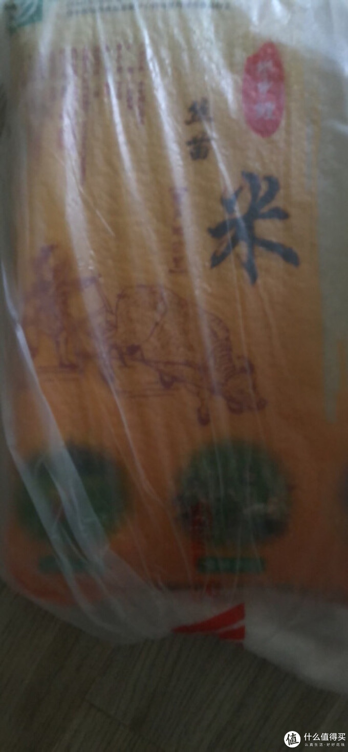 水中鲤大米