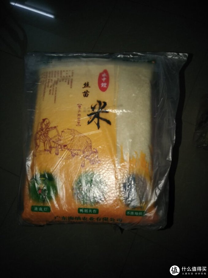 水中鲤大米