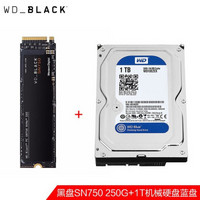 西部数据（WD） SN750/SN550 NVME M.2笔记本台式机SSD固态硬盘 黑盘SN750 250G+1T机械硬盘
