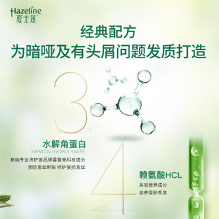 夏士莲 (Hazeline)洗发水 黑亮滋养强韧秀发洗发露 750ml