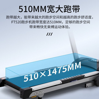 岱宇（DYACO）跑步机新款家用跑步机可折叠彩屏触控健身器材FT520 上门安装