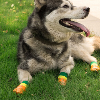 宠百思（PETBEST）狗狗鞋子宠物狗袜子大型犬防滑袜防水袜鞋袜 绿色 XXL