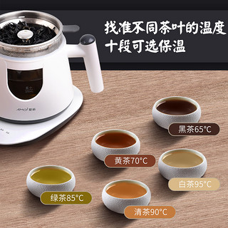 抖音黑茶煮茶器全自动家用蒸汽喷淋煮茶壶小型办公室养生壶煮花茶