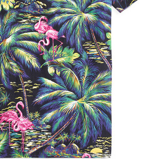 Ralph Lauren/拉夫劳伦男童 2020年夏季热带风情平纹针织T恤33860 999-多色 M